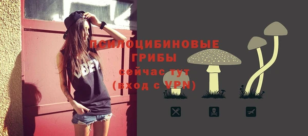 дмт Осинники