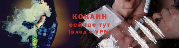 дмт Осинники