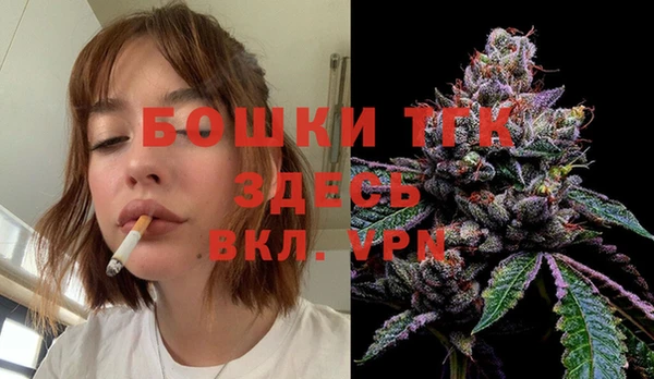 дмт Осинники