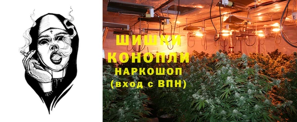 дмт Осинники