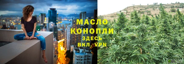 дмт Осинники