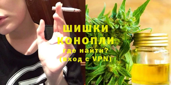 дмт Осинники