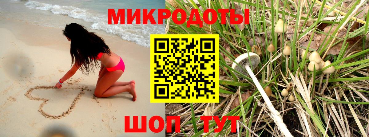 Галлюциногенные грибы Cubensis  Балабаново 