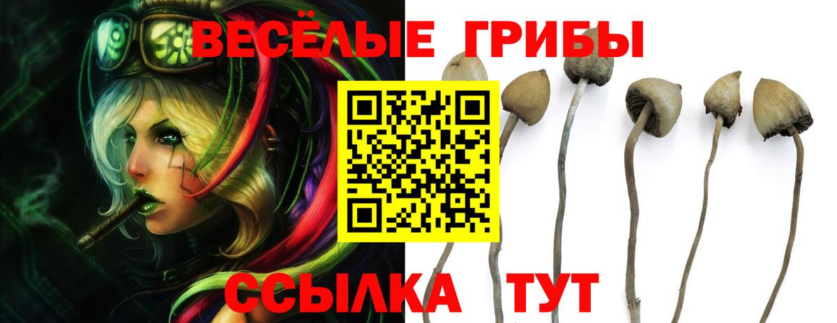 Балабаново  Галлюциногенные грибы GOLDEN TEACHER  Вход с VPN 